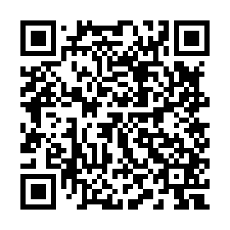 QR code for 29G841