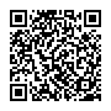 QR code for plate 29G 861