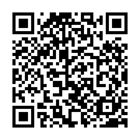 QR code for plate 29G XB0