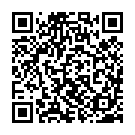 QR code for plate 29H 490
