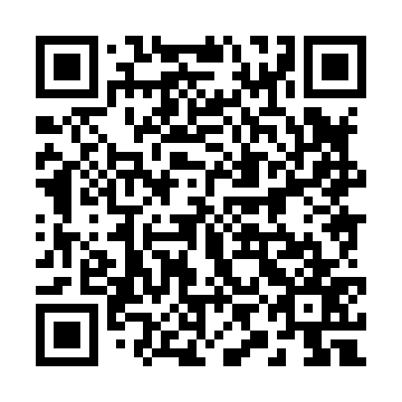QR code for plate 29H 877