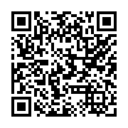 QR code for plate 29H 881