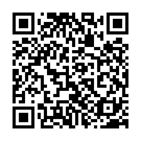 QR code for plate 29H ES1