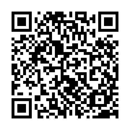QR code for plate 29H HH5