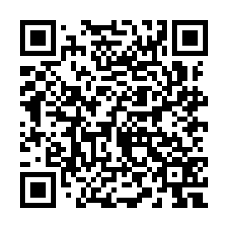 QR code for plate 29H IG6