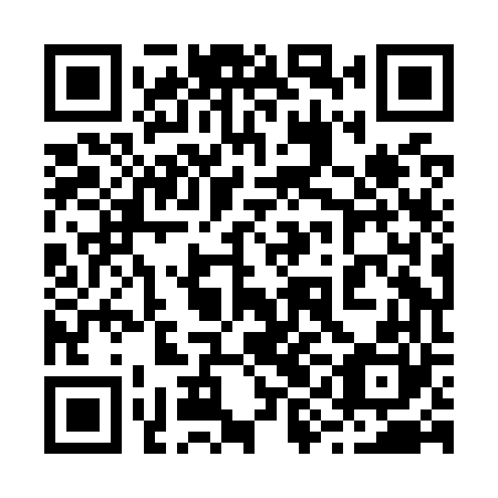 QR code for plate 29H O60