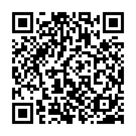 QR code for plate 29H Z31