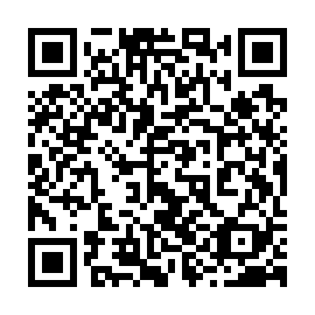 QR code for 29I G29