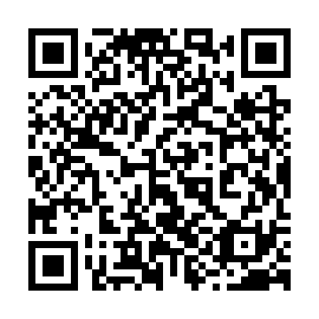 QR code for 29I SS1
