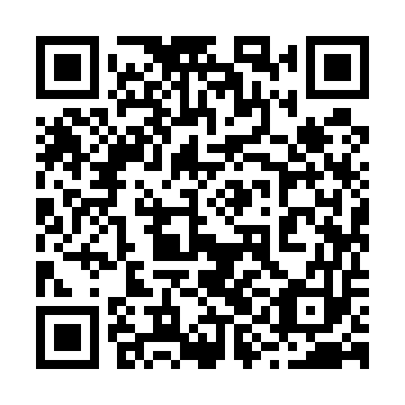 QR code for plate 29I 553