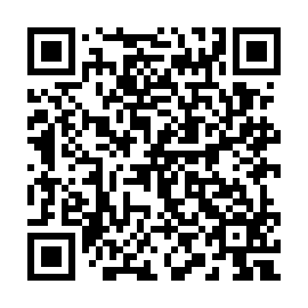 QR code for plate 29I EI6