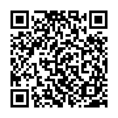 QR code for plate 29I HN3