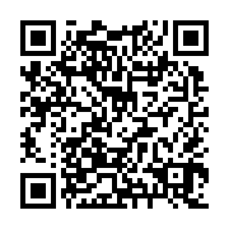 QR code for plate 29I K40