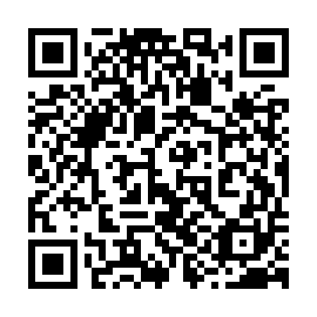 QR code for 29IKU0