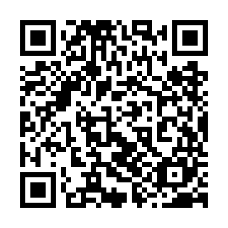 QR code for plate 29I WN5