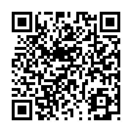 QR code for plate 29J 510