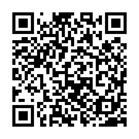 QR code for plate 29J 511