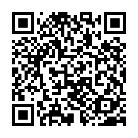 QR code for plate 29J AB8