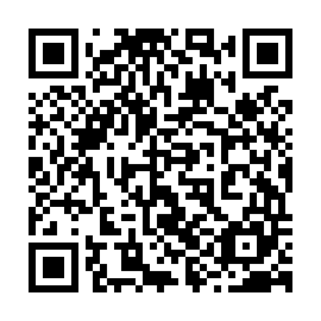 QR code for plate 29J L45