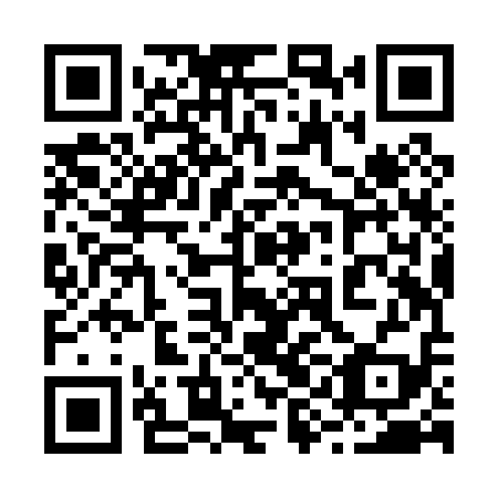 QR code for plate 29J P19