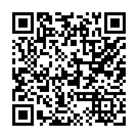 QR code for plate 29K 863