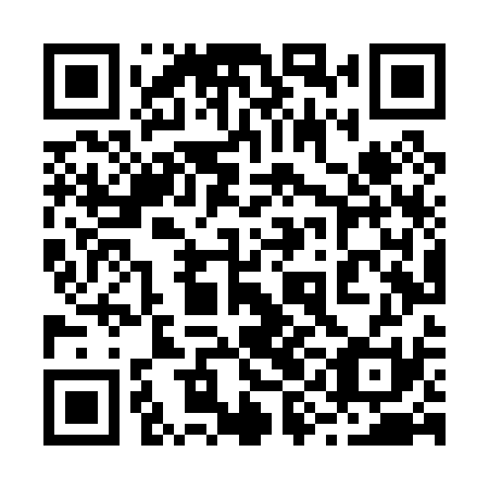QR code for 29L P31