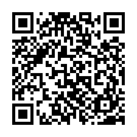 QR code for 29M EV4