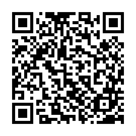 QR code for plate 29M 042