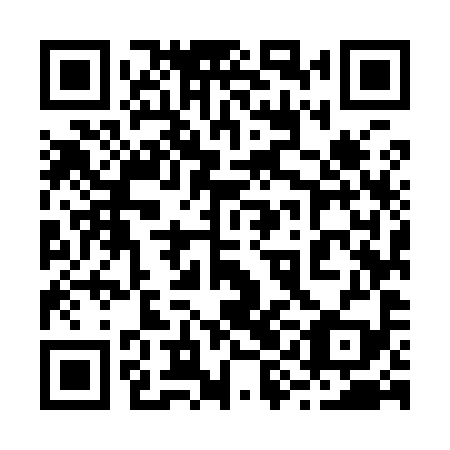 QR code for 29M999