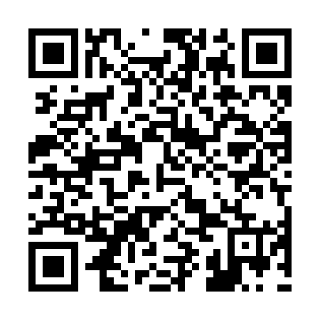 QR code for plate 29M RN5