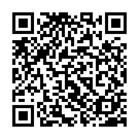 QR code for 29N IP1