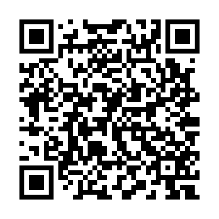 QR code for 29N Q56
