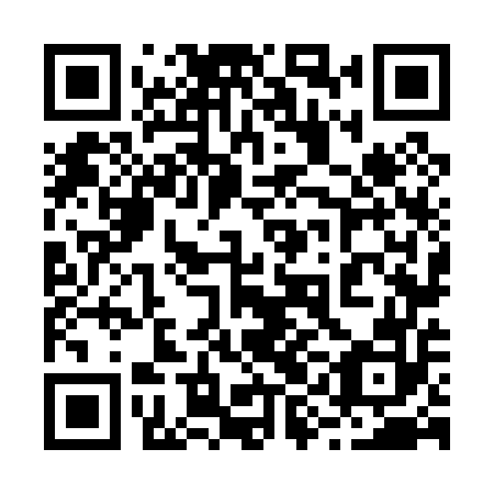 QR code for 29N052