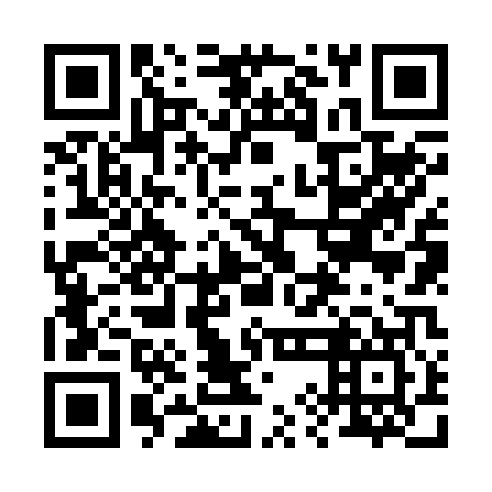 QR code for 29N207