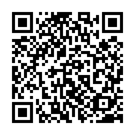 QR code for 29N568