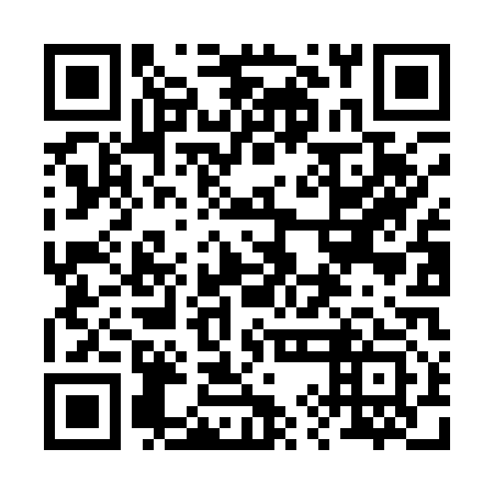 QR code for plate 29N A13