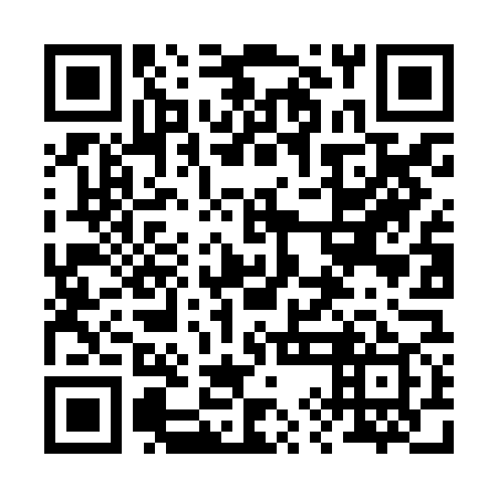 QR code for plate 29N JG9