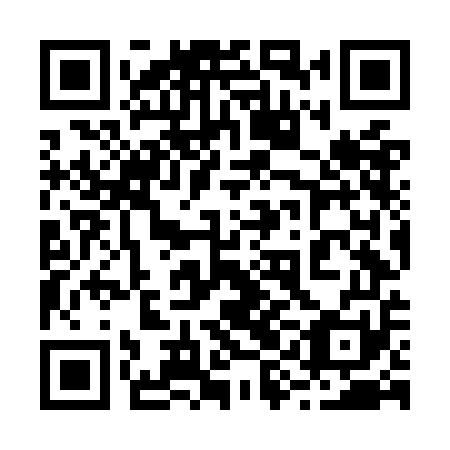 QR code for 29NOE1