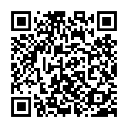 QR code for plate 29N TK9