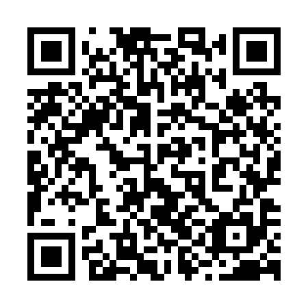QR code for 29O 295