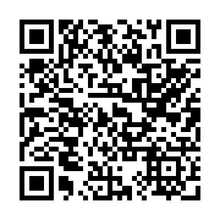 QR code for 29P 223