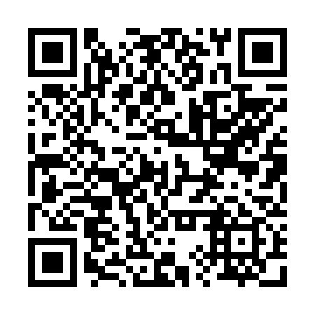 QR code for 29P 639