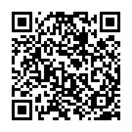 QR code for 29P E80