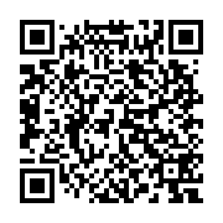 QR code for 29P G58