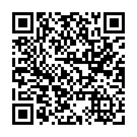QR code for 29P IW4