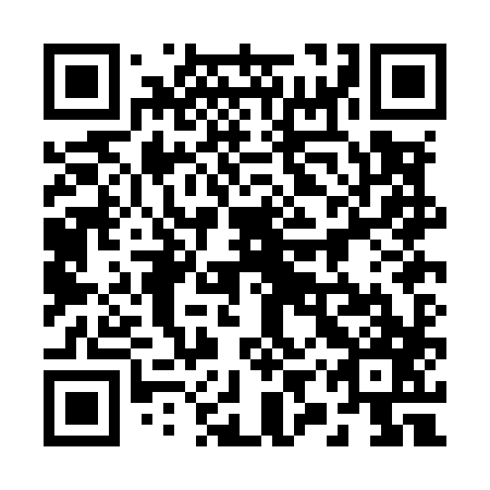 QR code for 29P M87
