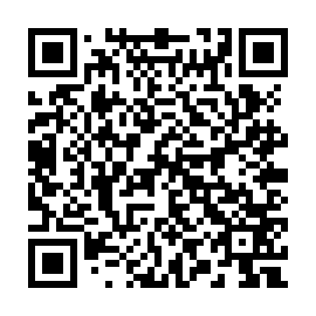 QR code for 29P ZN3