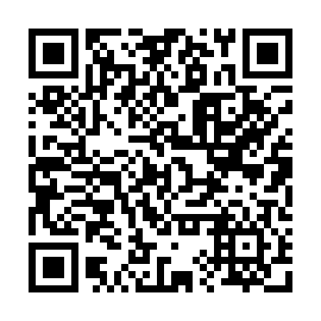 QR code for 29P106