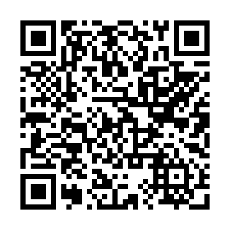 QR code for plate 29P 694