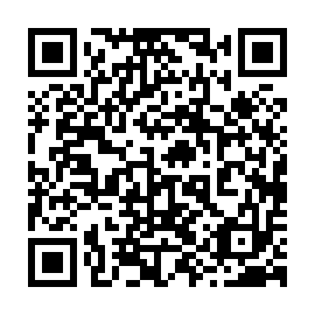 QR code for plate 29P 813